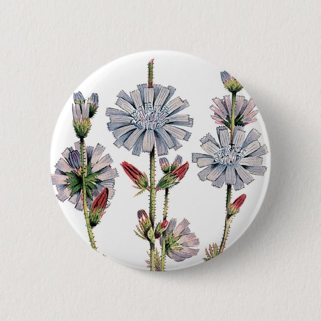 Chicory 6 Cm Round Badge (Front)