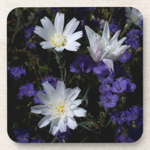 Chicory and Phacelia Wildflowers Coaster