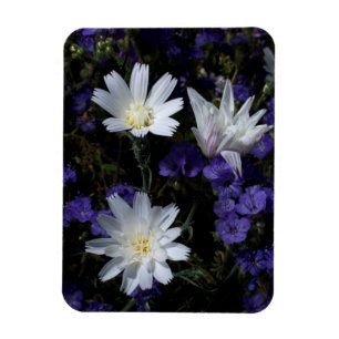 Chicory and Phacelia Wildflowers Magnet
