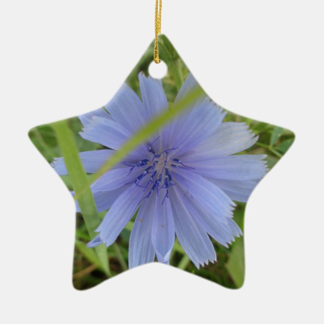 Chicory Blue Purple Flower Floral Ceramic Tree Decoration (Front)