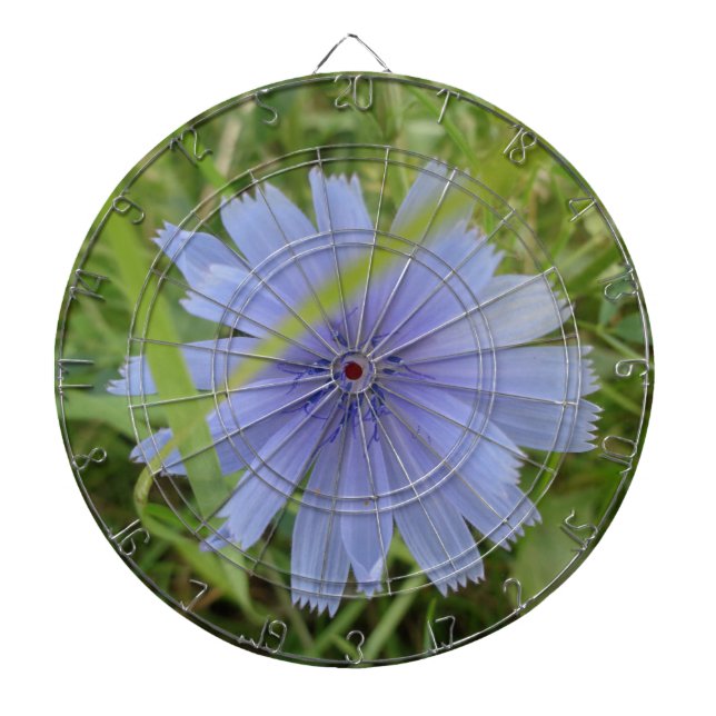 Chicory Blue Purple Flower Floral Dartboard (Front)