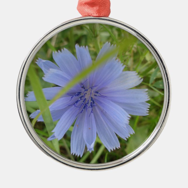 Chicory Blue Purple Flower Floral Metal Tree Decoration (Front)
