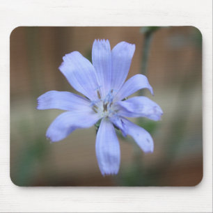Chicory (Cichorium intybus) Mouse Mat