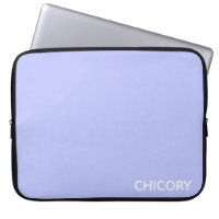 Chicory Flower blue color name
