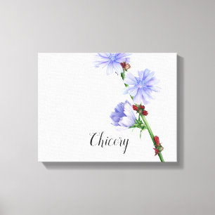 Chicory Flowers Watercolor Canvas Print