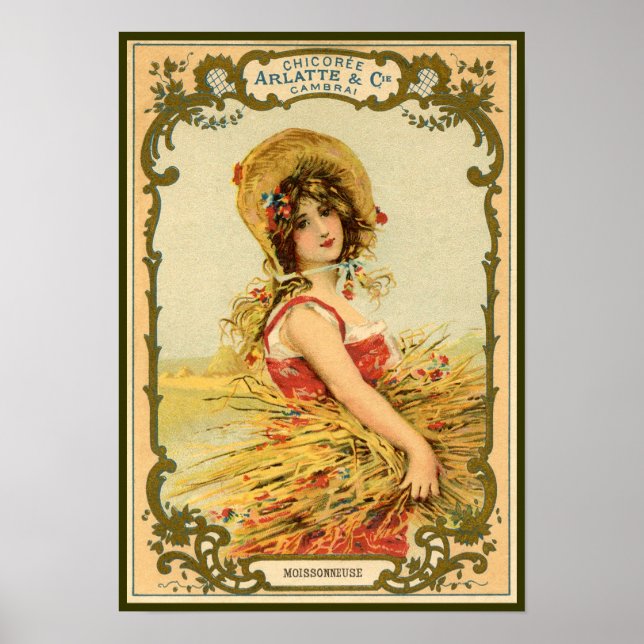 Chicory Harvest Advertisement Poster (Front)