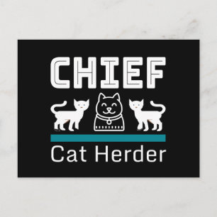 Chief Cat Herder Funny Postcard
