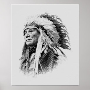 Chief Hollow Horn Bear Graphic 2 Poster