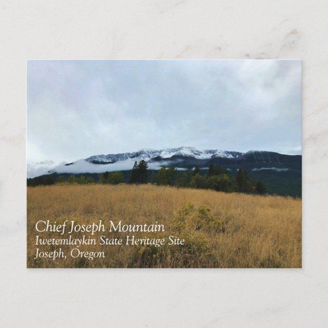 Chief Joseph Mountain, Oregon Postcard (Front)