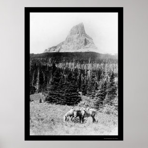 Chief Mountain from Glacier National Park 1925 Poster
