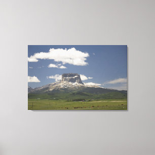 Chief Mountain With Pastures Of Grazing Cattle Canvas Print