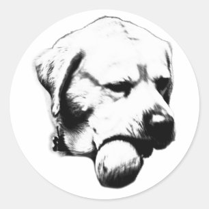Chief of Fetch Classic Round Sticker