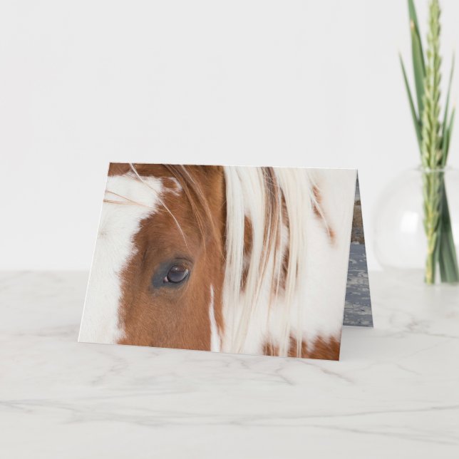 Chief's Eye Horse Greeting Card (Front)