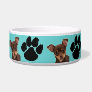 Chihuahua
