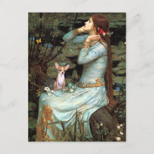 Chihuahua 1 - Ophelia Seated Postcard