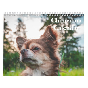 Chihuahua 2026 calendar