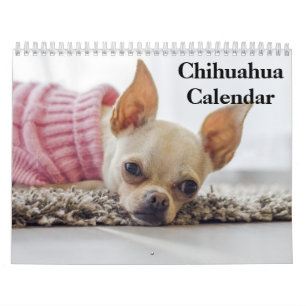 Chihuahua 2026 calendar