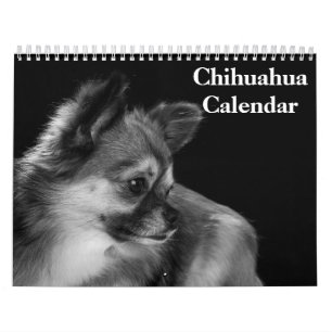 Chihuahua 2027 calendar