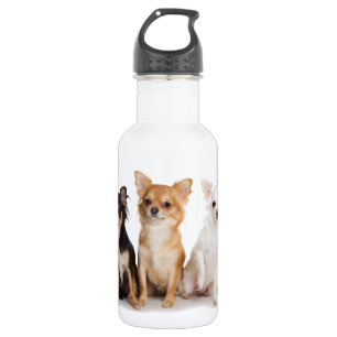 CHIHUAHUA 532 ML WATER BOTTLE
