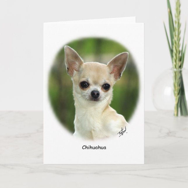 Chihuahua 9P93D-123 Card (Front)
