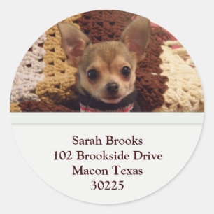 Chihuahua Address Labels