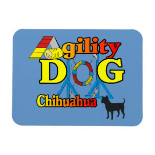 Chihuahua Agility Magnet
