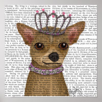 Chihuahua And Tiara