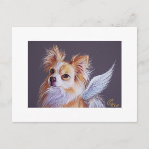 Chihuahua Angel Postcard