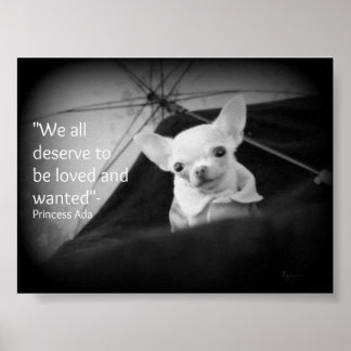 Chihuahua appreciation poster