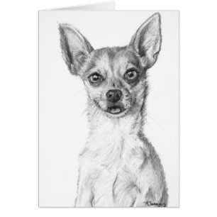 Chihuahua Art