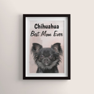 Chihuahua Best Mom Poster