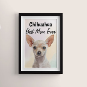 Chihuahua Best Mum Poster