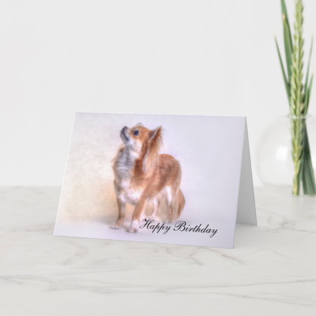 Chihuahua Birthday card (Front)
