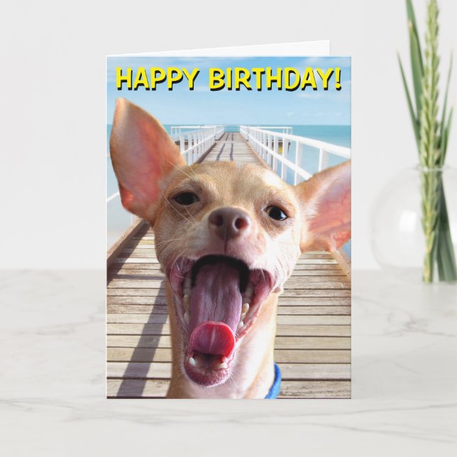 Chihuahua birthday card (Front)