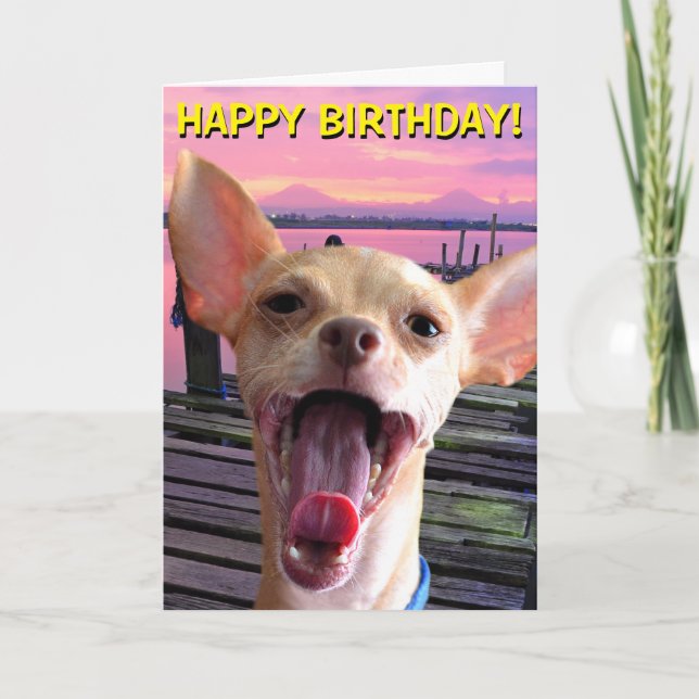 Chihuahua birthday card (Front)