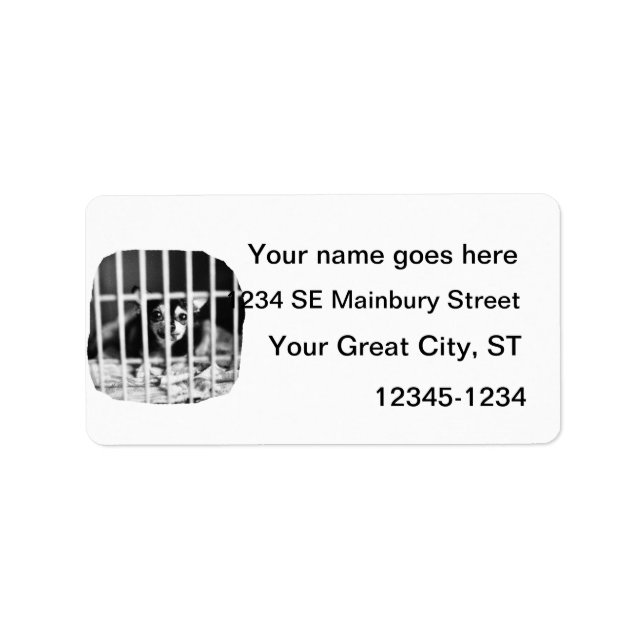 chihuahua Black and White Behind cage Bars Label (Front)