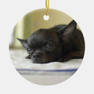 chihuahua black ceramic tree decoration