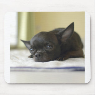 chihuahua black mouse mat