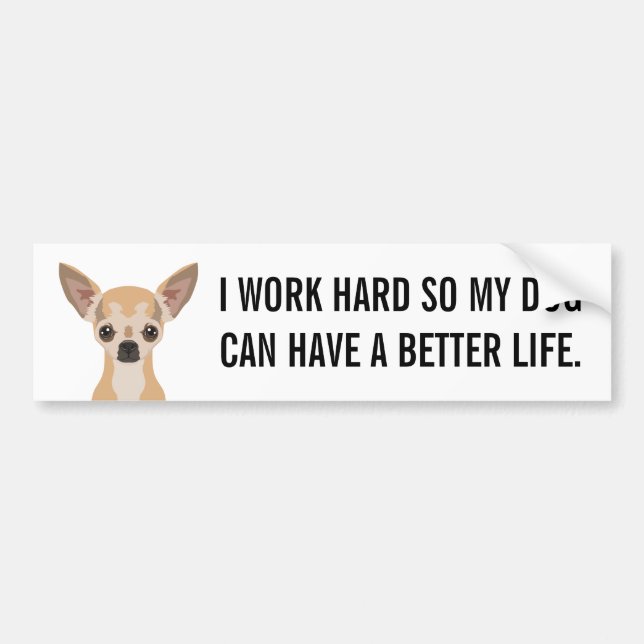 Chihuahua Bumper Sticker (Front)