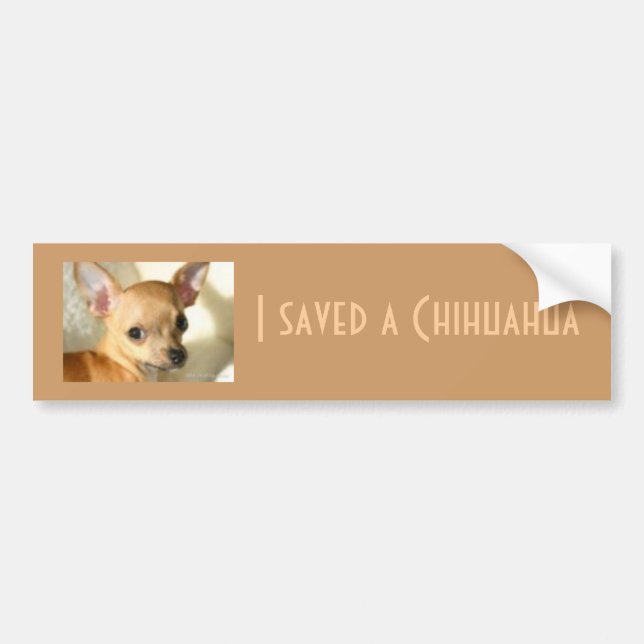 Chihuahua Bumper Sticker (Front)