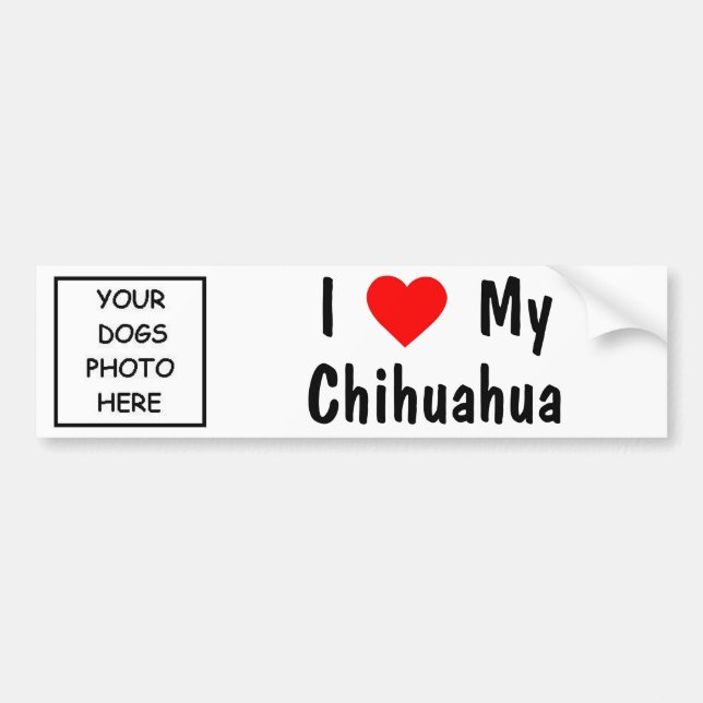 Chihuahua Bumper Sticker (Front)