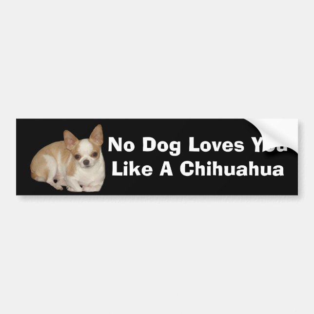 Chihuahua Bumper Sticker (Front)