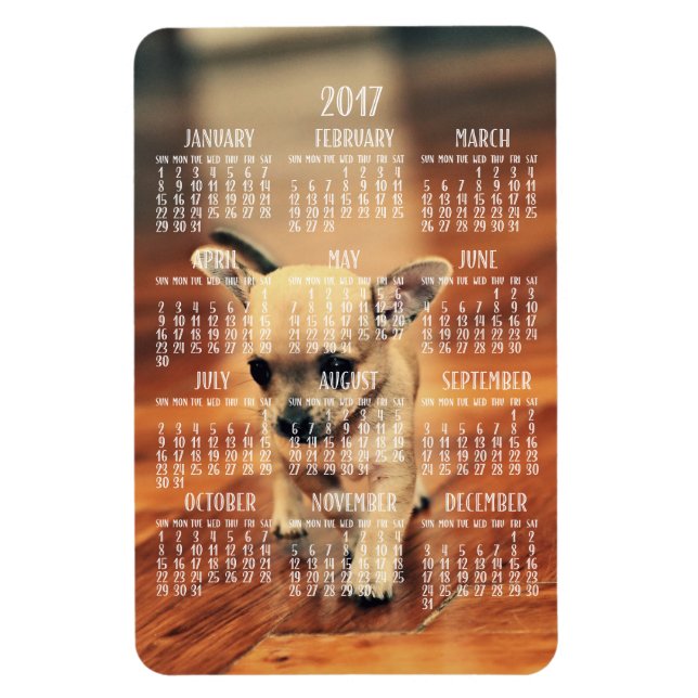 Chihuahua Calendar 2017 Photo Magnet 4x6 Large (Vertical)