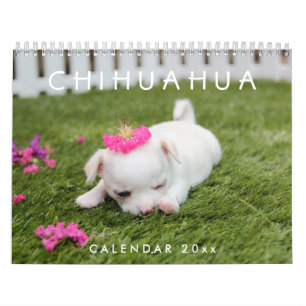 Chihuahua Calendar 2026 Add Your Photos