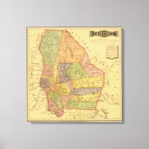 Chihuahua Canvas Print