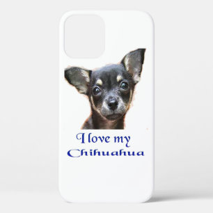 Chihuahua  iPhone 12 case