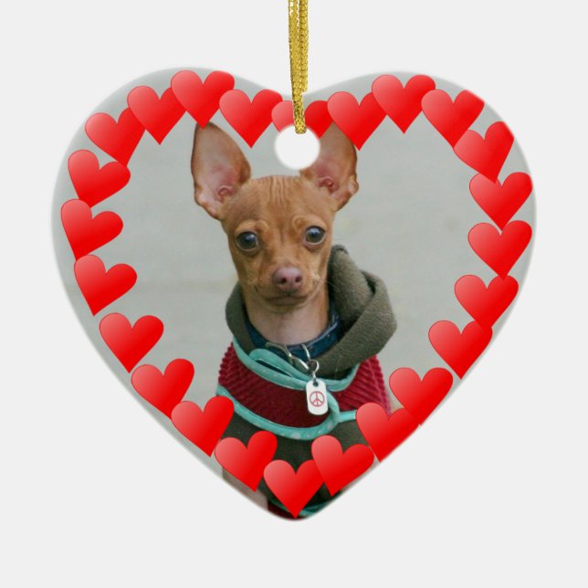 Chihuahua Ceramic Tree Decoration (Front)