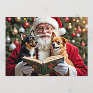 Chihuahua Christmas Card