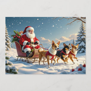 Chihuahua Christmas Card