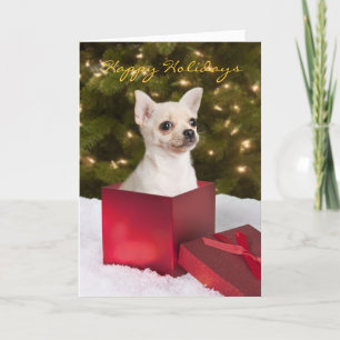 Chihuahua Christmas card